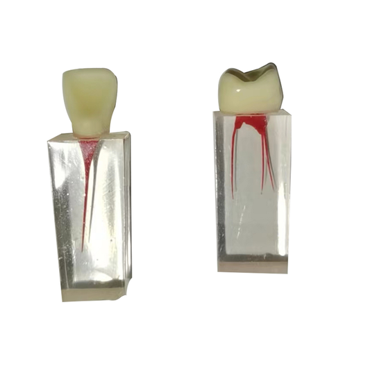 友牙 根管牙粒 tm-406 2颗/袋